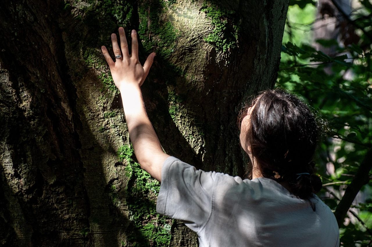 Eine Hand liegt auf der bemoosten Rinde eines alten Baumes