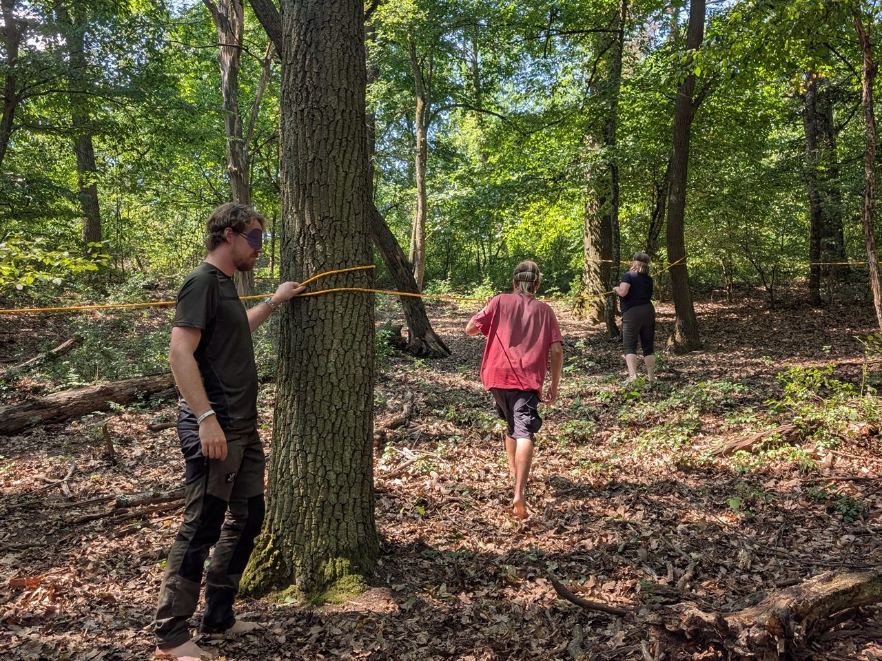 Teilnehmende bei einer Sinnesuebung mit verbundenen Augen im Wald